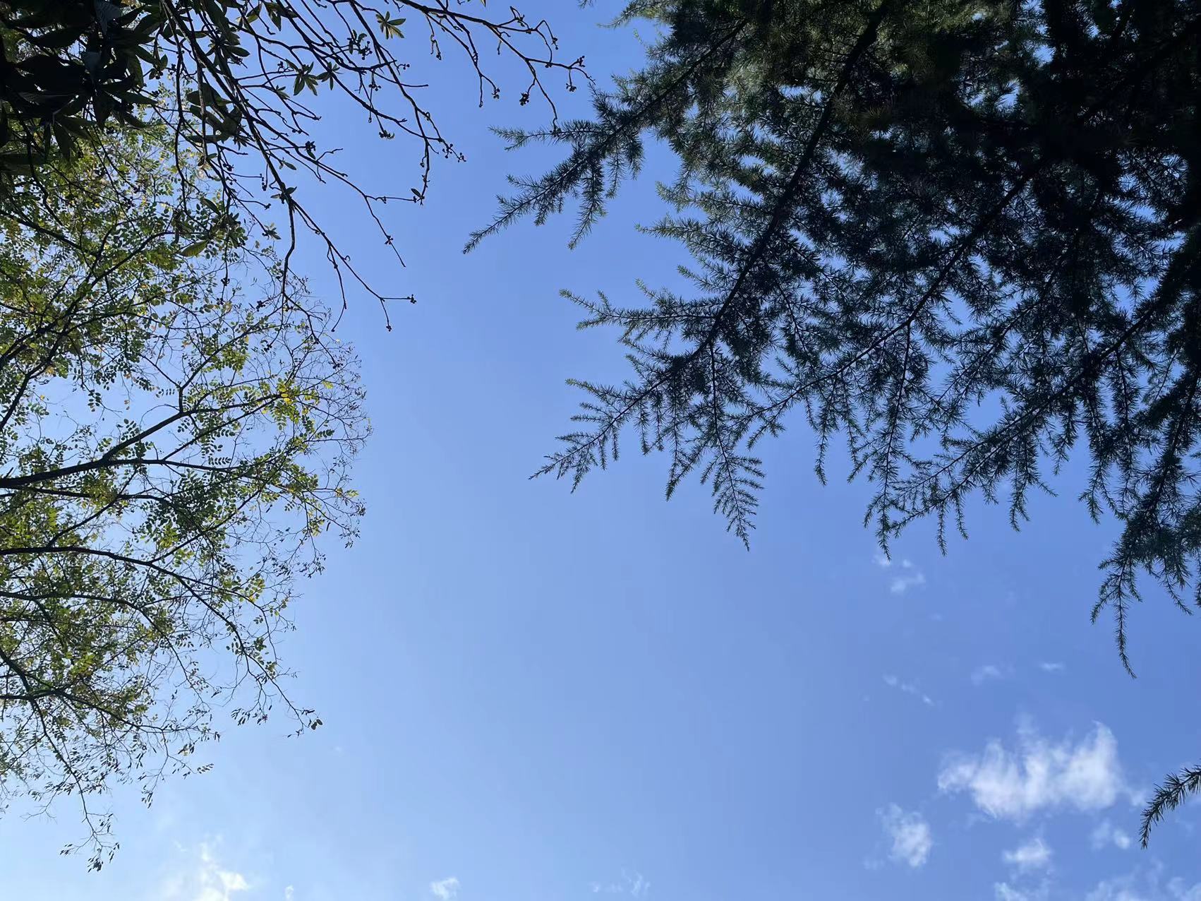 明装暖气   一天完工